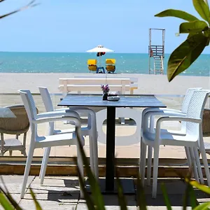 https://hotel-andi.albaniahotels.org